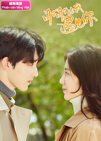 谢谢让我遇见你 越南版语版