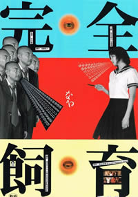 欧洲尺码日本尺码专线中老年